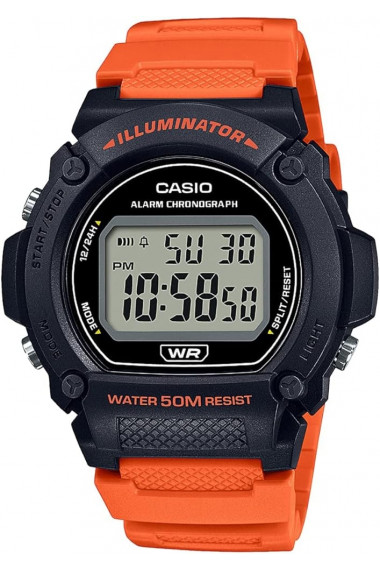 Ceas Barbati Casio Collection W-21 W-219H-4AVCF