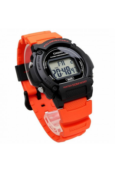 Ceas Barbati Casio Collection W-21 W-219H-4AVCF