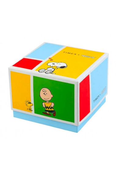 Ceas Barbati Timex Peanuts TW2V60200