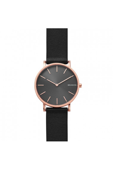 Ceas Barbati Skagen Hagen SKW6447