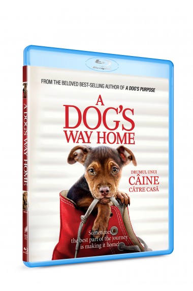 Drumul unui caine catre casa / A Dog`s Way Home - BLU-RAY